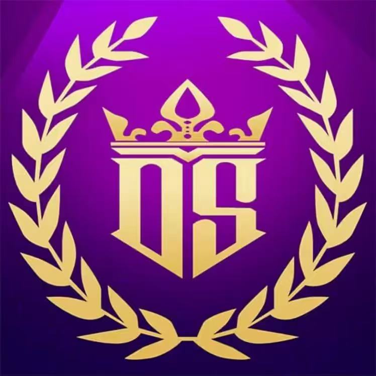 东升国际（首存100➕100）